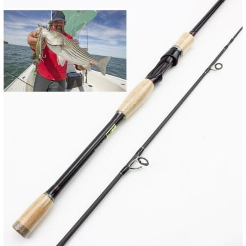 2.4m 2.7m lure rod 4 Sections Portable Travel Fishing Rod Carbon Fiber Rod Fishing Rods Casting Fast Action Trout pole pesca