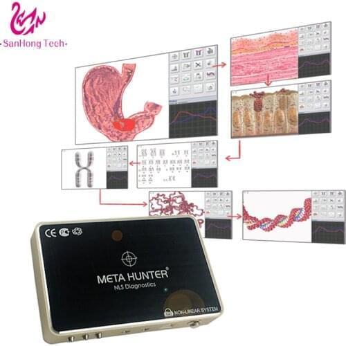Factory price Meta hunter 4025 nls health analyzer with allergy testing Machine Made in China