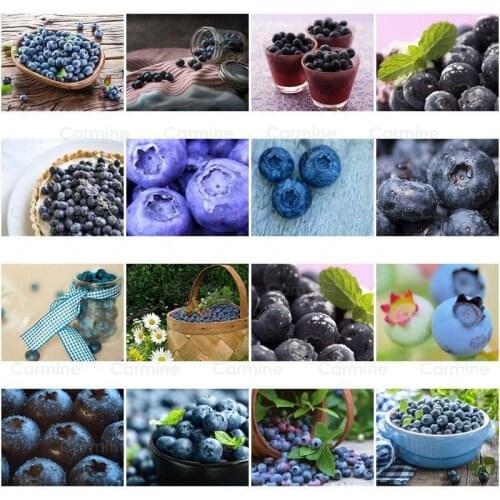 Sweet Blueberry 5D DIY Diamond Painting Fruit Diamond Embroidery Rhinestones Full Drill Round Square Handmade Gift Kitchen Decor