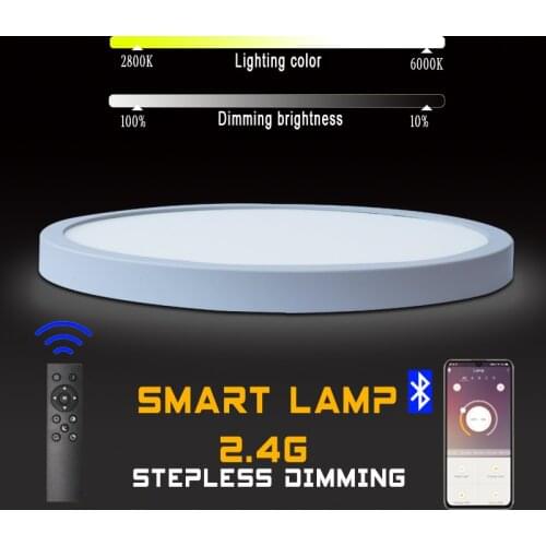 3 Colors 2.4G Stepless Dimming LED Ceiling Lamp for Bedroom Smart Lamp 24/28/38/48w Interior Ceiling Light with Remote Control
