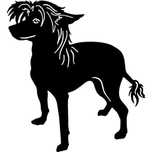 11.7*12.7CM Chinese Crested Dog Lovely Classic Animal Car Styling Decorative Stickers Personalized Car Tail Decals C6-0725