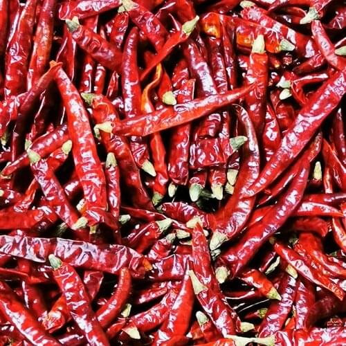 200g Dried Chili Pure Natural Bonsai Sichun Chilli Pepper Free Shippoing 2021 New Hot Pepper