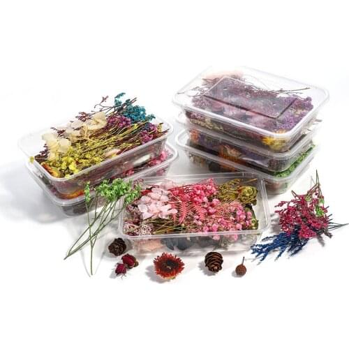 1 Box Bulk Epoxy Filled Flowers Resin Mixed Dried Flowers Plants Aromatherapy Random Decoration Making Craft DIY Accessories