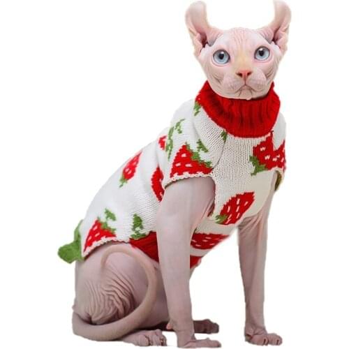 Pet Clothes Cat Sweater Strawberry Patten Hoodie Winter Hairless Cat Clothes Kitten Suit Warm Cute Sweater