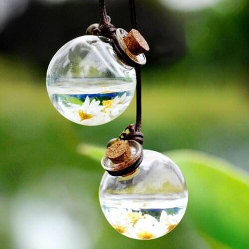 Clear Perfume Fragrance Air Freshener Empty Bottle Car Home Hanging Ornament