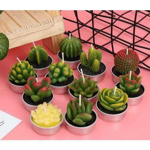 6Pcs 3D Cactus Candle Simulated Plant Set Home Decoration Candle Tea Light Decor About 4*4*5cm