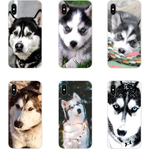 For Xiaomi Mi4 Mi5 Mi5S Mi6 Mi A1 A2 A3 5X 6X 8 CC 9 T Lite SE Pro Husky cute Accessories Phone Shell Covers
