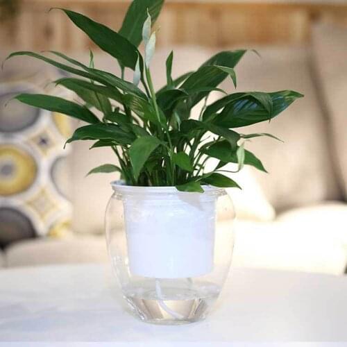 Automatic Watering Flowerpot, Transparent Water Storage Plastic Flowerpot for Succulent Plants Herbs African Violets Flowers