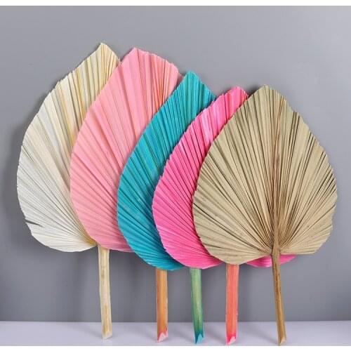 Colored Natural Dried Palm Leaf Fan DIY Party Art Wall Hanging Decoration Home Display Elegant Ornament Wedding Home Decor