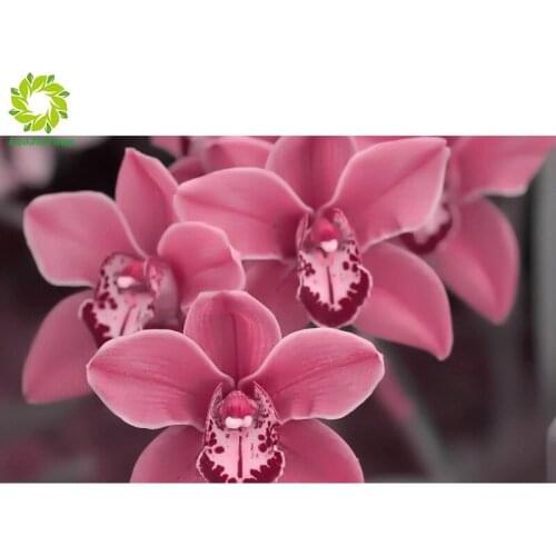 5D DIY Full Square Diamond Painting Flower Diamond Embroidery Rhinestone Picture Diamond Mosaic Gift DropShip