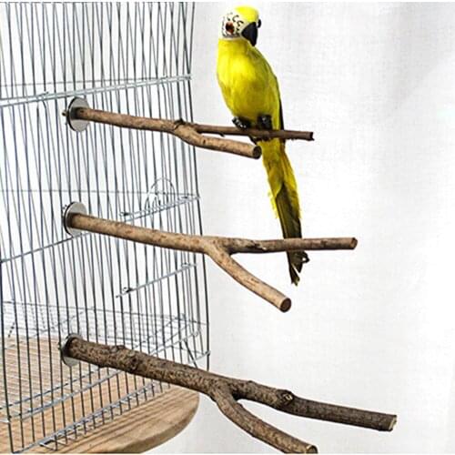 Аксессуары в клетку Intelitopia China At AliExpress