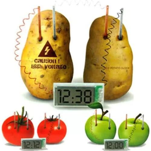 Potato Clock Novel Green Science Project Experiment Kit Lab Home School Toy Funny Educational DIY Material For Children Kids