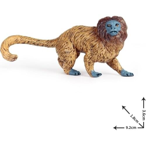 Golden Lion Tamarin Animal Model Action Figure Monkey Animal Action Figures Collection PVC Children Cognitive Toy