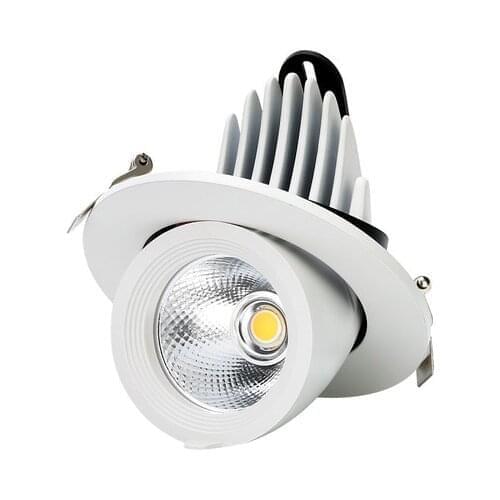 LED trunk light COB LED gimbal light 10W 15W 30W Warm White Cold White COB LED gimble lamp rotatable led downlight Adjustable