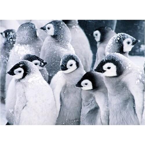 5Diy Diamond Painting Animal Penguin Paintings By number Rhinestones Diamond Mosaic Wedding Decoration Full Square RoundZP-2941