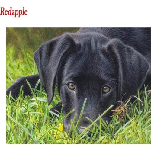 Black labrador 5D round square diamond embroideryDiy full sets diamond painting mosaic puppy/dog pictures rhinestones art