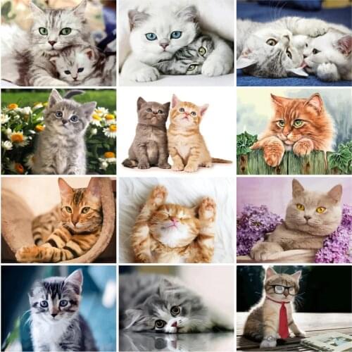 HUACAN Pictures By Number Animal Kits Drawing Canvas Hand Painted Cat DIY Oil Painting Art Home Decor