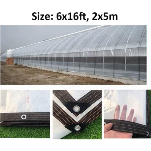Lvju Plastic Sheeting 6x16ft 2x5m Clear Tarp for Greenhouse, Plastic Mulch, Weed Barrier, Ground Cover, Construction Film