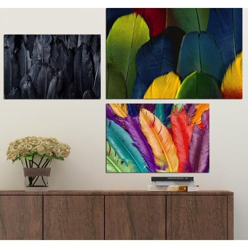 Colorful Animal Feather Modern Canvas Art Prints Poster Wall Painting Scroll Painting Artwork Wall Art Pictures Home Decoration