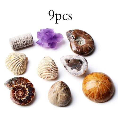 Whole sale Lots Mixed Ammonite Fossil Amethyst Cluster Agate Geode Minerals Specimen Rough Rock stone Healing Collection Gift