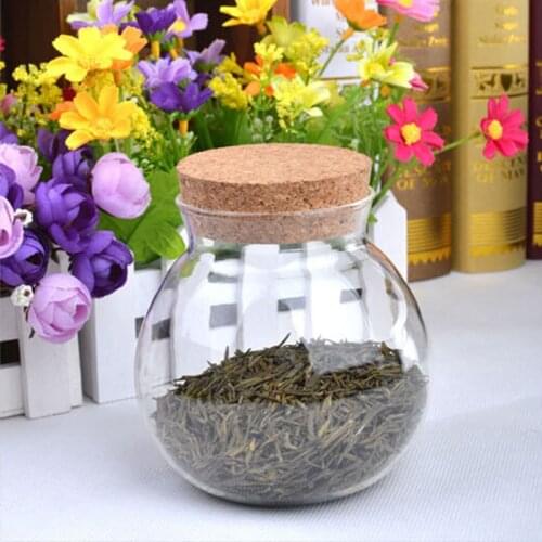 Diameter=10cm Glass Storage Tank Cork Lid Micro Landscape Bottle Terrarium Vase Home Decoration Friend Gift