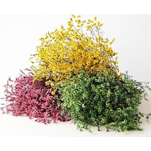 Immortal Natural Dried Flower Material Crystal Grass DIY Bouquet Accessories For Christmas /Valentines Day/Wedding/Decoration