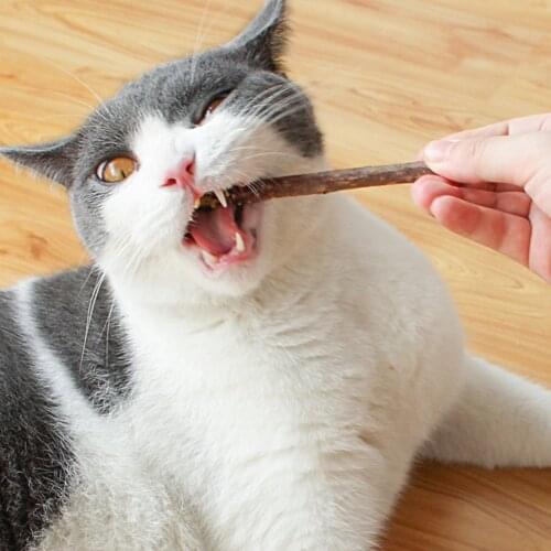 5/10/20pcs Pure Molar Dental Cat Snacks Sticks Pet Cats Catnip Clean Chew Toys Nip Natural Silvervine Teeth Safety Toothpaste