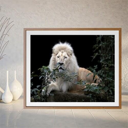 Big Cats Lions Pictures Living Room Wall Art Decor Animal No Frame Poster Oil Painting Decoration