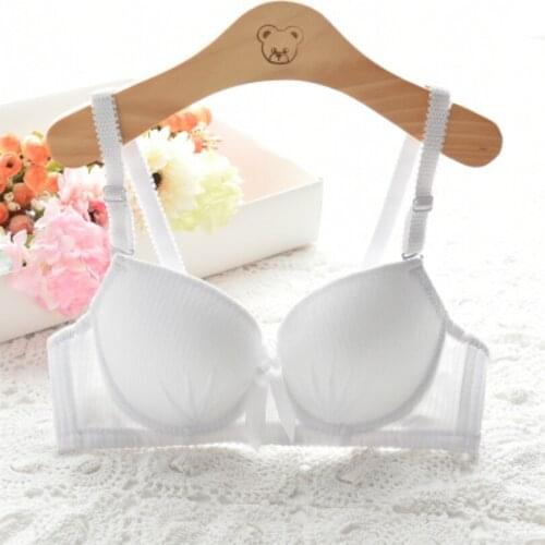Women Sexy Brassiere Super Double Push Up Bra For Women Push Up Bra B Cup Underwear Women Double Push Up Gather Bra Big Size