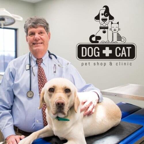 Grooming Dog Salon Decal Pet Shop Wall Sticker Posters Vinyl Art Decals Parede Decor Mural Pet Clinic Wall Sticker