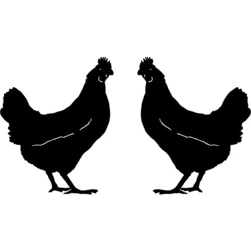 9.1X11.1CM 2X Wise Chicken (1 Right & 1 Left) Fashion Vinyl Car Stickers Black Silver S6-2608
