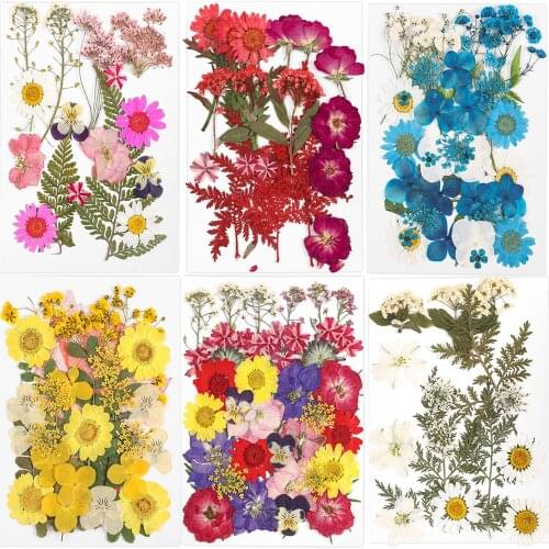 1 Pack DIY Dried Flowers Dry Plants Resin Mold Fillings UV Epoxy Flower for Nail Art Pressed Flowers Home Decor Handicraft