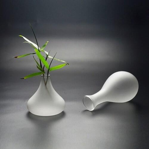 Chinese Style Handcraft Frosted Glass Vase Desktop Transparent Bottle Plant DIY Terrarium Hydroponic Container Home Decoration
