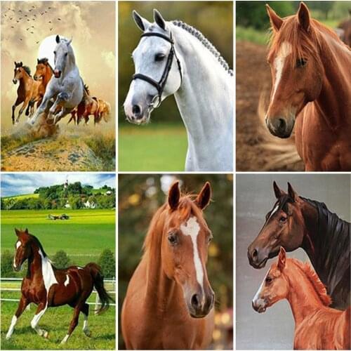 Horse DIY 5D Diamond Painting Full Square Drill Mosaic Animal Cross Stitch Kits Diamond Embroidery Gift Wall Art Home Decor
