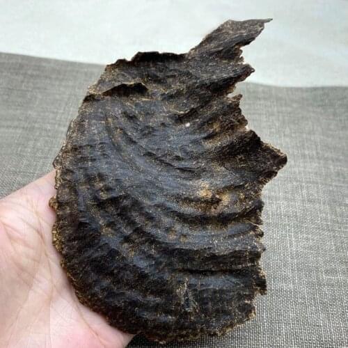 24.9g Authentic Natural Chinese HaiNan oudh wood full resin oil Sinking collection investment treasure