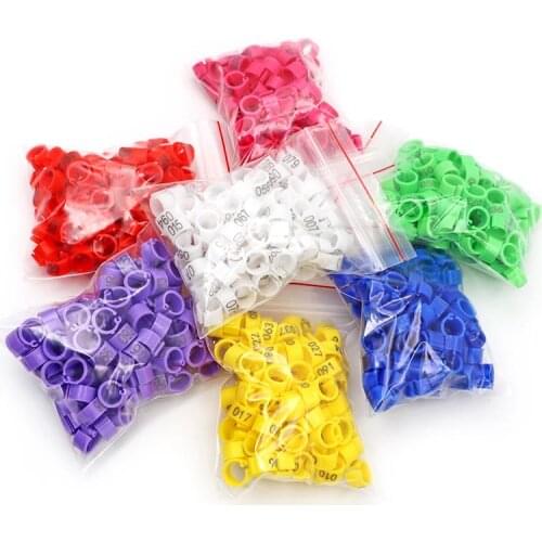 100Pcs Pigeon Foot Rings Poultry Foot Rings with Words Plastic Pigeon Chicken Goose Birds Colored Foot Ring Training Supplies