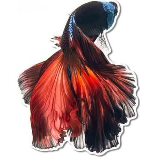 Hot Car Stickers Decor Motorcycle Decals Betta Fish Decorative Accessories Creative Sunscreen Waterproof PVC,13cm*13cm