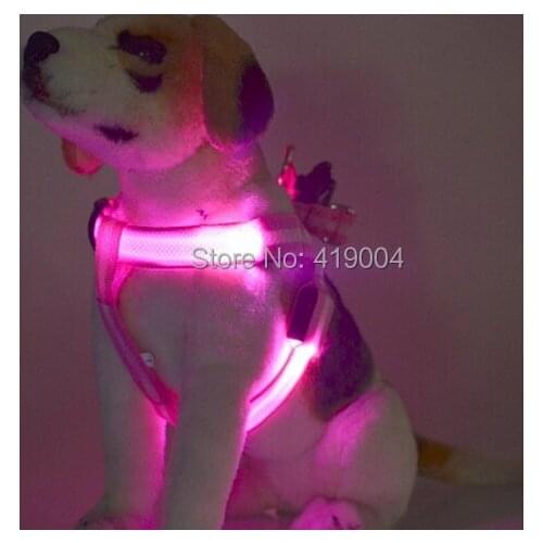Fedex DHL Free shipping Pet Cat LED Harness Training Safety Light Glow Harnesses Leash Dog LED Collar 7 Colors,50pcs/lot