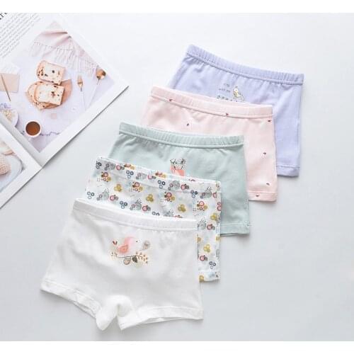 HPBBKD 5pcs/lot Kids Boys Underwear Cartoon Childrens Shorts Panties for Baby Boy Boxers Panty Teenager Underpants 2-14T BU029