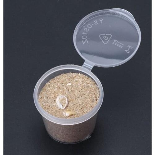 Beach Natural Seashell Starfish Sand For UV Resin Fillings Frames Jewelry Making Drop shipping