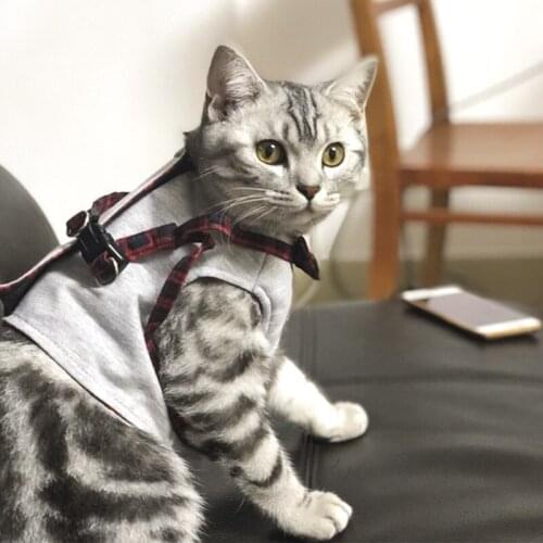 Cat traction rope and cat walking rope vest-style cat walking artifact special for outing kitten rope anti-stroke strap home