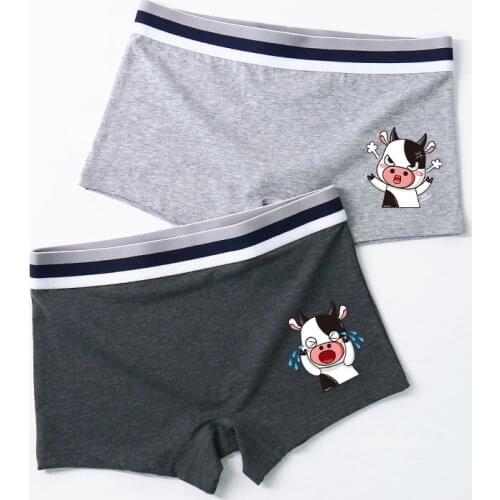 2pcs Tomboy Mid-waisted Cartoon Boyshort Women Cotton Neutral Underwear Tran Lesbian FTM Boxer Briefs Knickers Shorts Underpant
