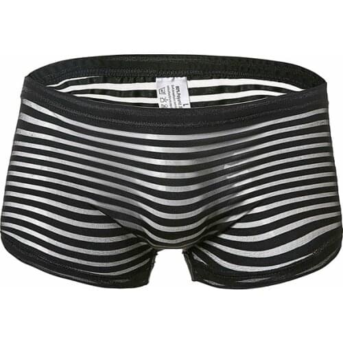 Boxers Mesh Sheer Striped Underwear Men Sexy Transparent Underpants Boxer Shorts Panties See Through Trunks Cuecas hombre
