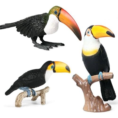 Simulation Toco Toucan Action Figure Solid Hard Plastic Bird Model Ramphastos Toco Figurine Toys For Children GIrls Boys