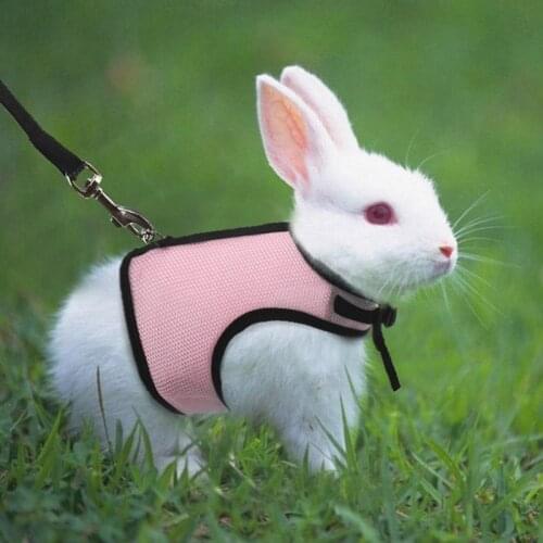 Pet Rat Leash Harness Rabbit Hamster Leash Hamster Clothes Guinea Pig Clothes Adjustable Rope Collar Dropshipping Pet Supplies