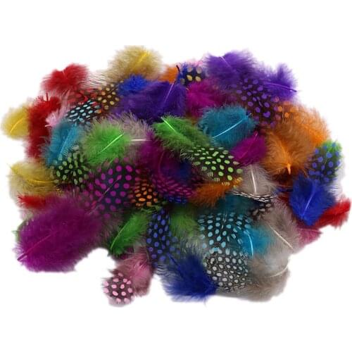 50pcs Many Color Guinea Fowl Feather Chicken Feathers 5-10cm Nature