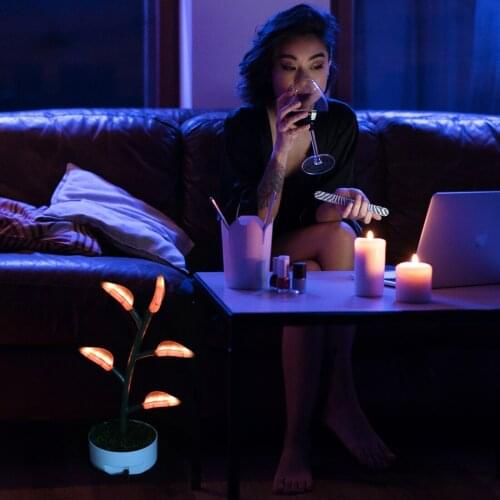 Remote Control LED Plant Light Magical Muticolor Tree Lamp US/EU/UK/AU Plug Table Lamp For Bedroom Room Decoration