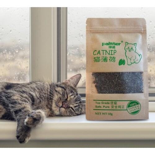 Cat Toy Organic Natural Premium Catnip Cattle Grass 10g Menthol Flavor Funny Cat Toy Interactive Cat Non-toxic Dropshipping