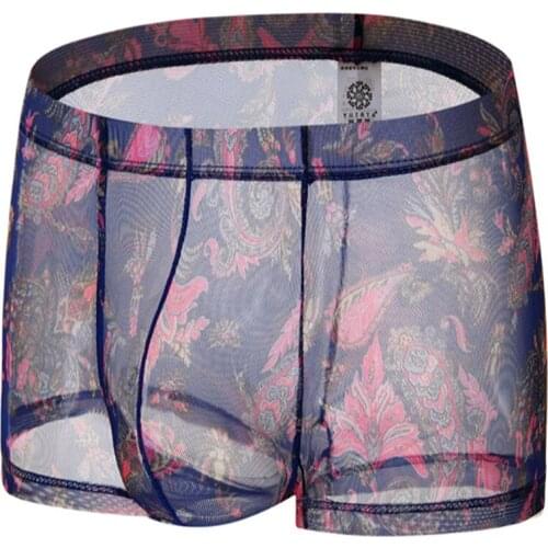 Bohemia Mens Erotic Colorful 5 Style Transparent Low Waist Big Pouch Bag Gay Mesh Underwear