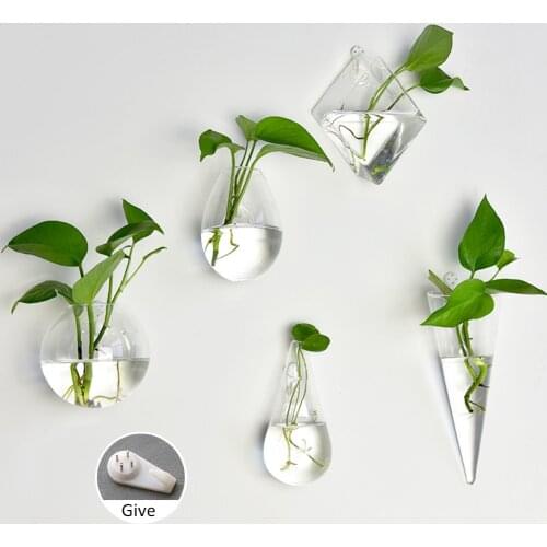 Wall-mounted Glass Vase Wall Hanging Hydroponic Terrarium Fish Tanks Potted Plant Flower Pot Glass Planter Decor Container